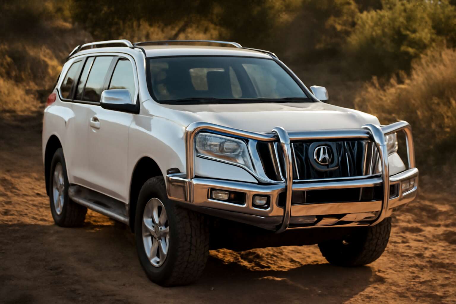 prado bullbar and side rails