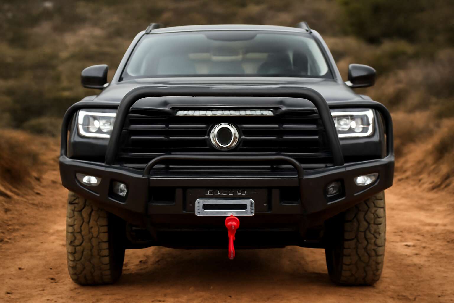 gwm cannon hooped bullbar