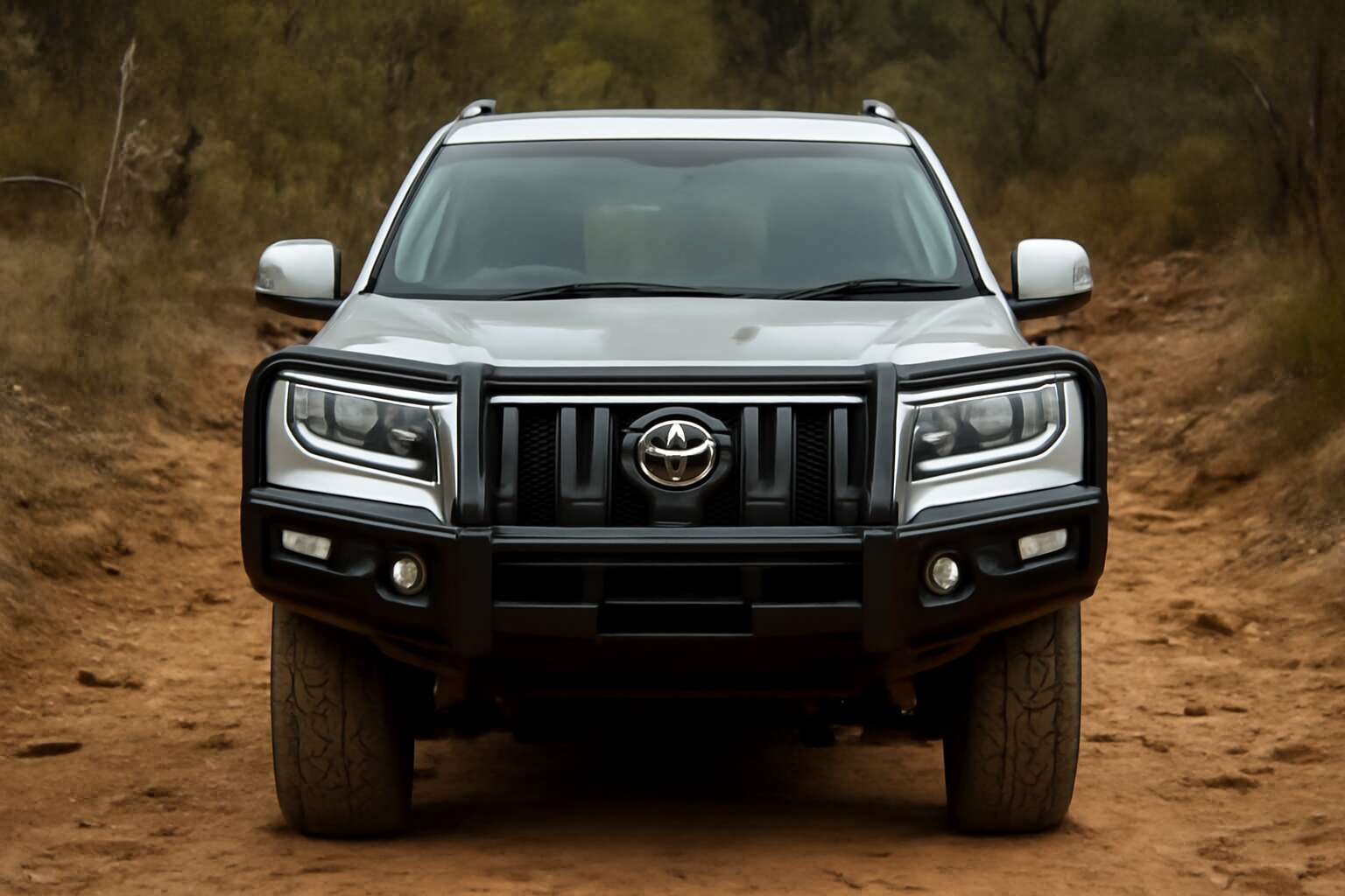 prado bumper bullbar